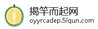 揭竿而起网